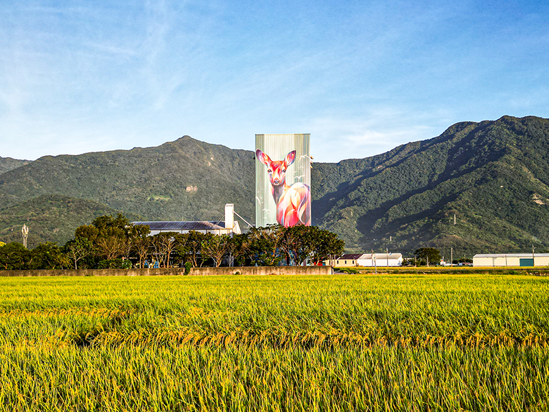 縱谷大地藝術季