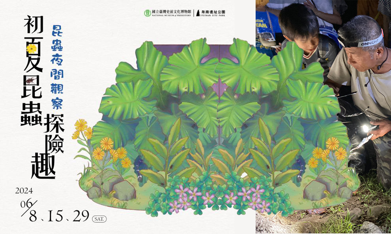 影像【生態教育】6/29初夏昆蟲探險趣：昆蟲夜間觀察
