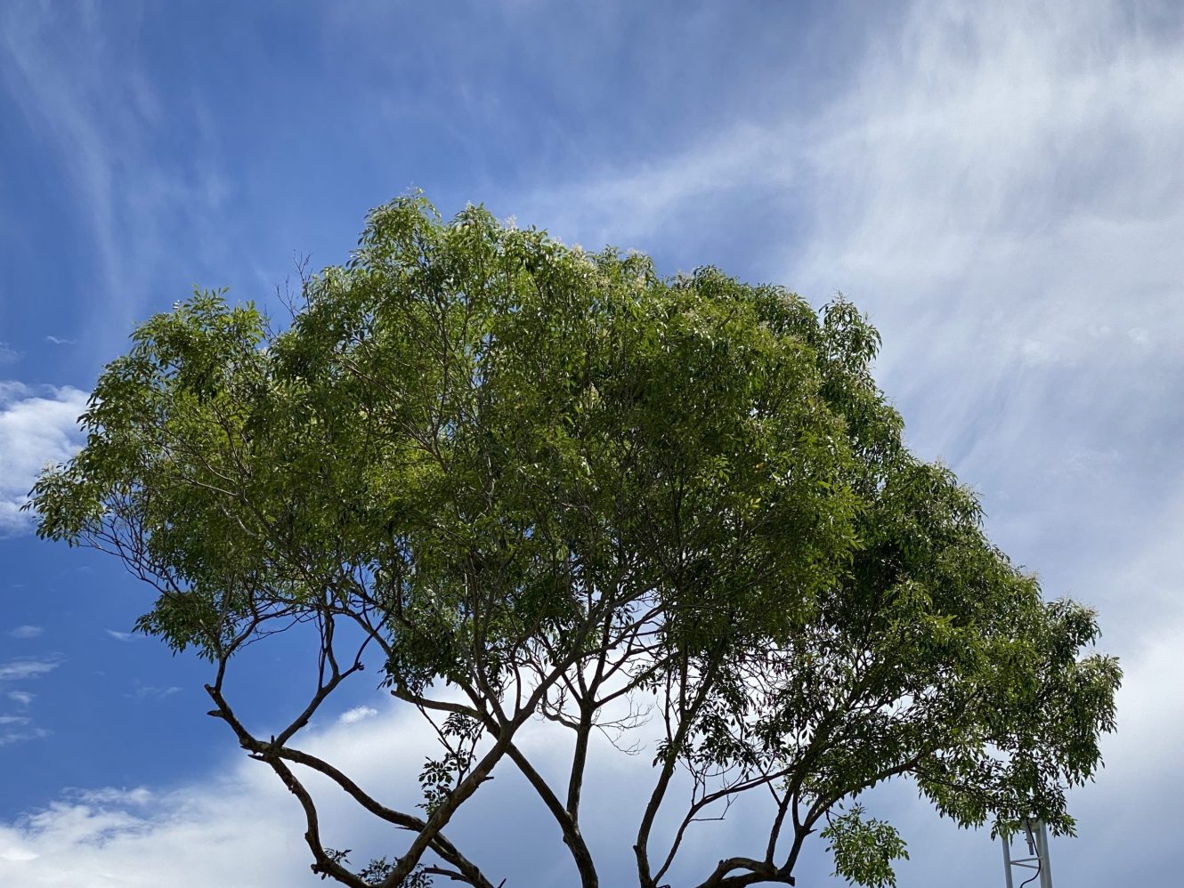 公告｜臺東縣政府文化處114年度藝文中心展覽申請徵件