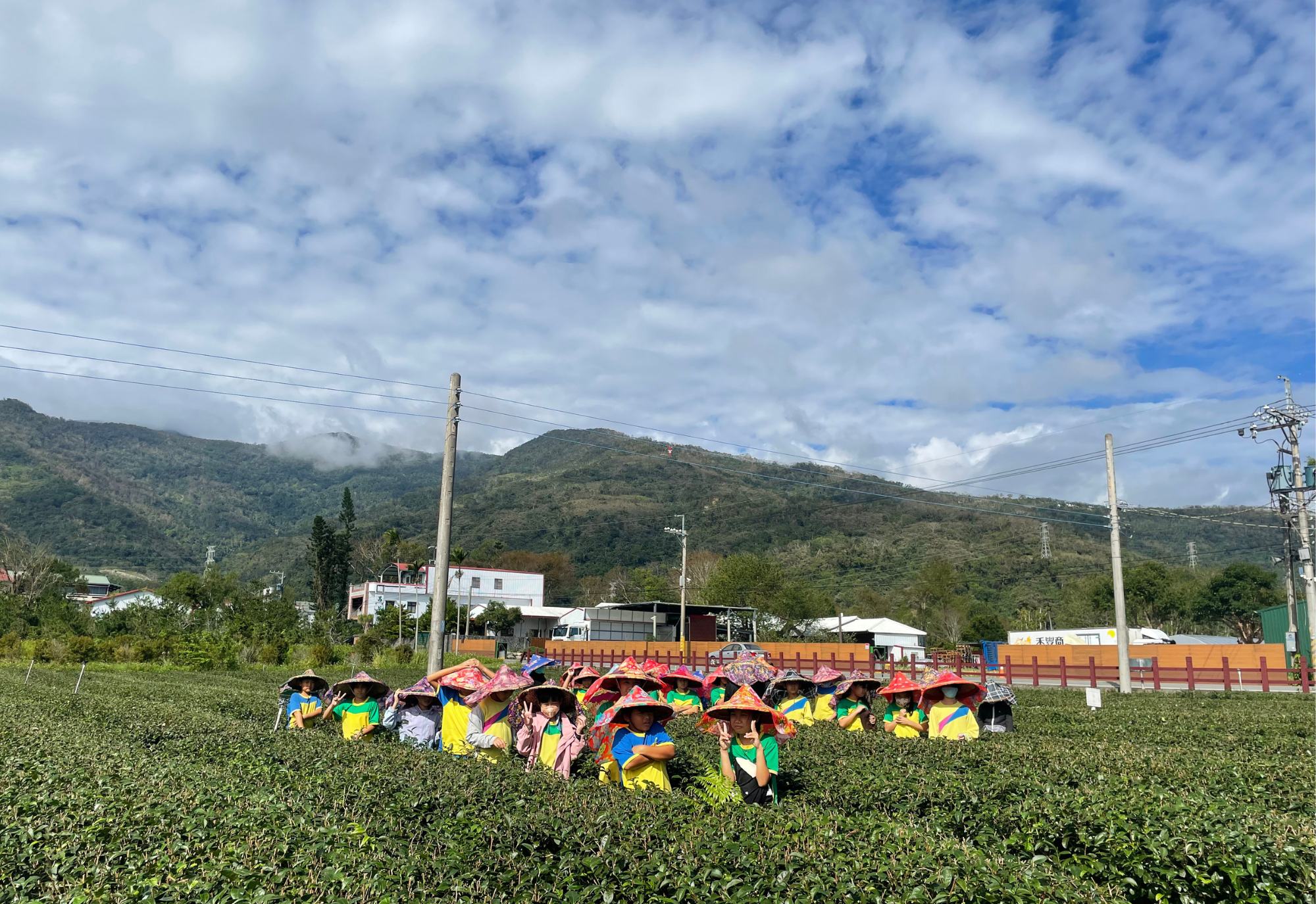 新元昌紅茶產業文化館的採茶體驗