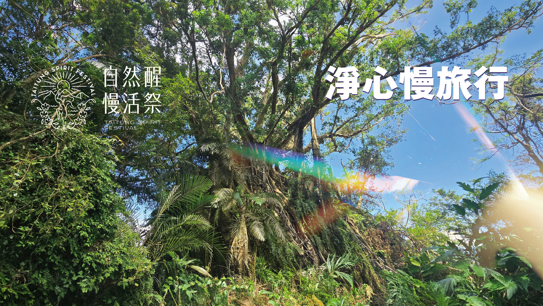 《自然醒慢活祭・淨心慢旅行》｜ 成為一片森林： 鸞山森林療癒秘境之旅